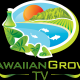 Hawaiian.Grown.TV's picture