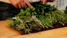Easy Cooking Tips for Men: How to Cook With Fresh Herbs