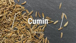 All About Cumin