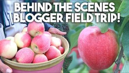 Behind The Scenes - Apple Picking And Packing - Kravings