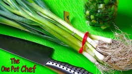 Quick Tips - Saving Leftover Spring Onions