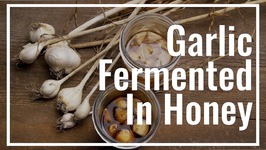 How To Make Garlic Fermented In Honey