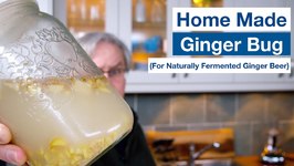 How To Make A Ginger Bug