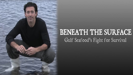 Beneath the Surface Trailer-One Year after the BP Deepwater Horizon Oil Spill