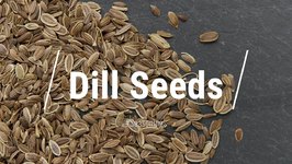 All About Dill 'Seed'