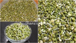 How To Sprout Moong Beans / Seeds Sprouting
