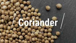 All About Coriander Seed