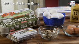 Get the Facts on Eggs