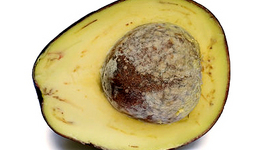 How to Remove the Seed of an Avocado