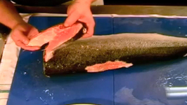 Fillet Fresh Salmon Part 1