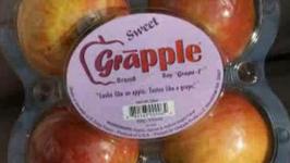 Grapples - Looks Like an Apple Tastes Like a Grape