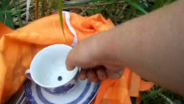 Fixing Tea Cup and Saucer on Bird Houses