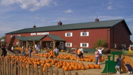 Betty's Trip to Boyd's Orchard to Pick Out Pumpkin with Family
