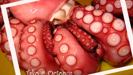 How to Slice Octopus