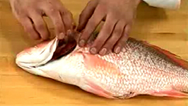 How to Check  the Freshness of Fish 
