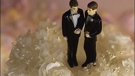 No Wedding Cake for You - Colorado Bakery Hurts Gay Couple