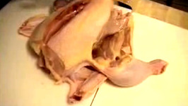 How to Fabricate a Chicken: Tips and Ideas