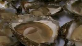 Oyster Tasting Guide
