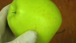 Identify a Fresh Apple  with A Apple Wrinkle Test