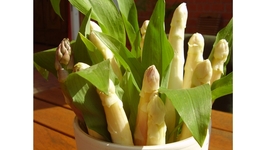 All about Spargel 