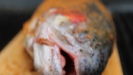 Salmon Trout Kameha