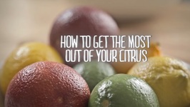 How To Get The Most Out Of Your Citrus