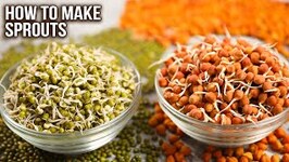How To Make Sprouts - 2 Ways of Sprouting - Sprouts Storage Ideas - Complete Sprout Guide - Ruchi