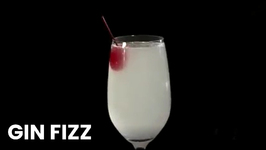Winter Holiday Party Drinks- Gin Fizz
