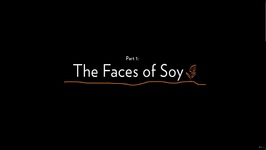 Part 1 - Faces of Soy- In Search of the Four Bean Pod