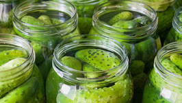 Home Made Dill Pickles